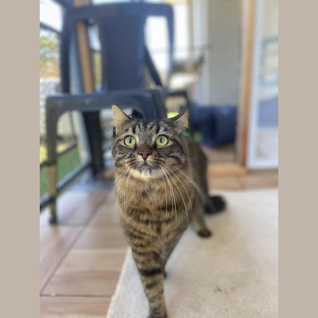 Photo of Quincy