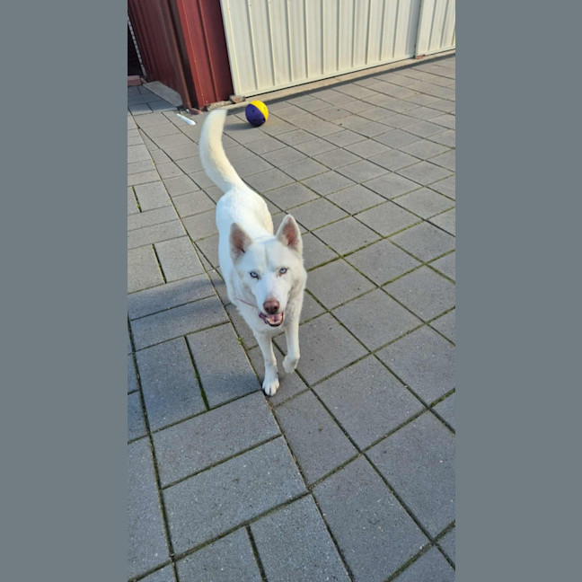 Photo of Ashie