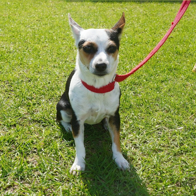 Photo of Wanda