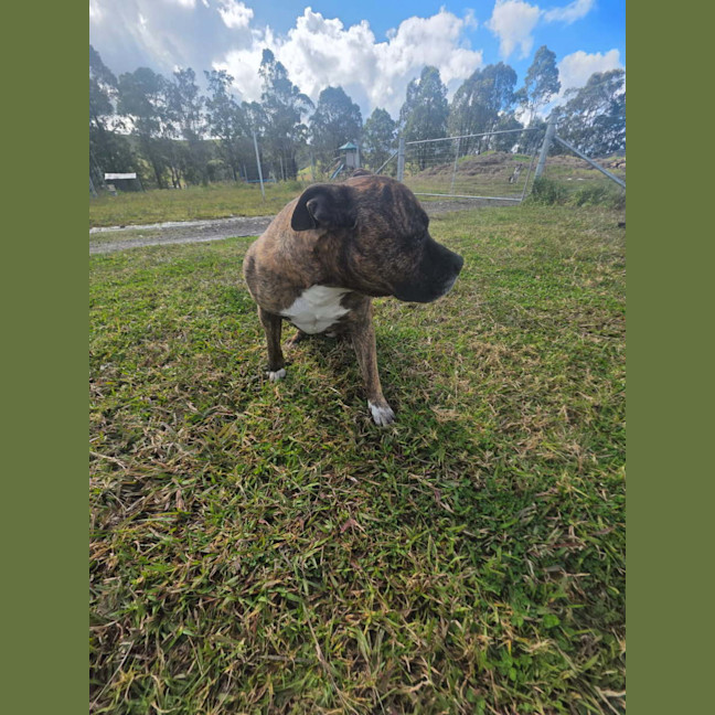 Photo of Zeus 💜