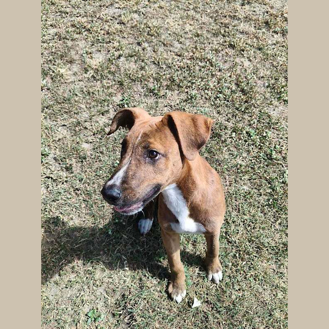Photo of Shaggy