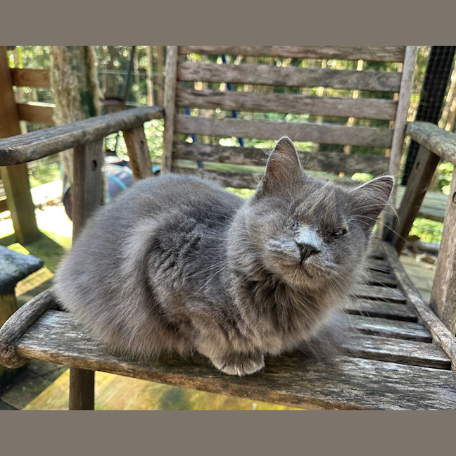 Photo of Winky