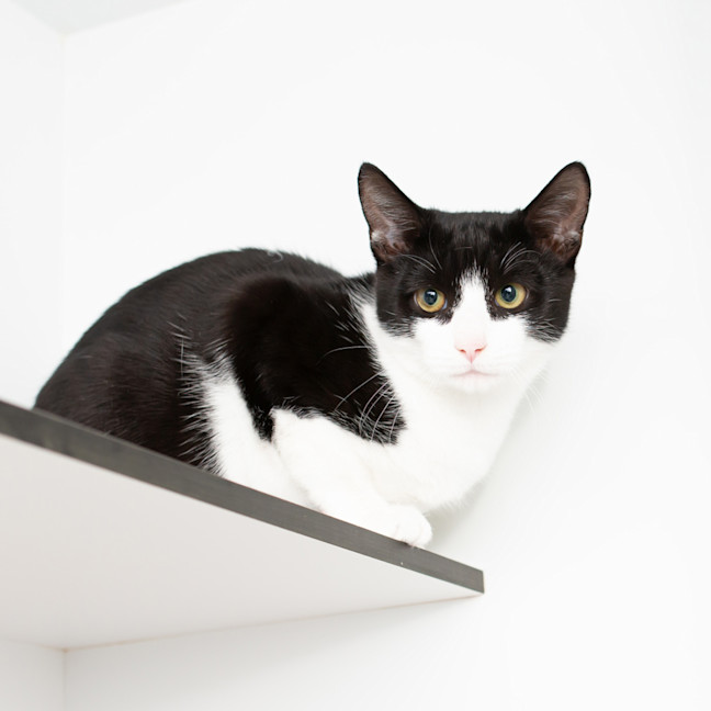 Photo of Luke Sky Walker