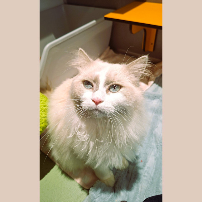Photo of Reign 