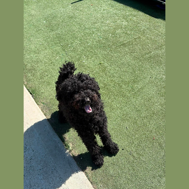 Photo of Maddie 