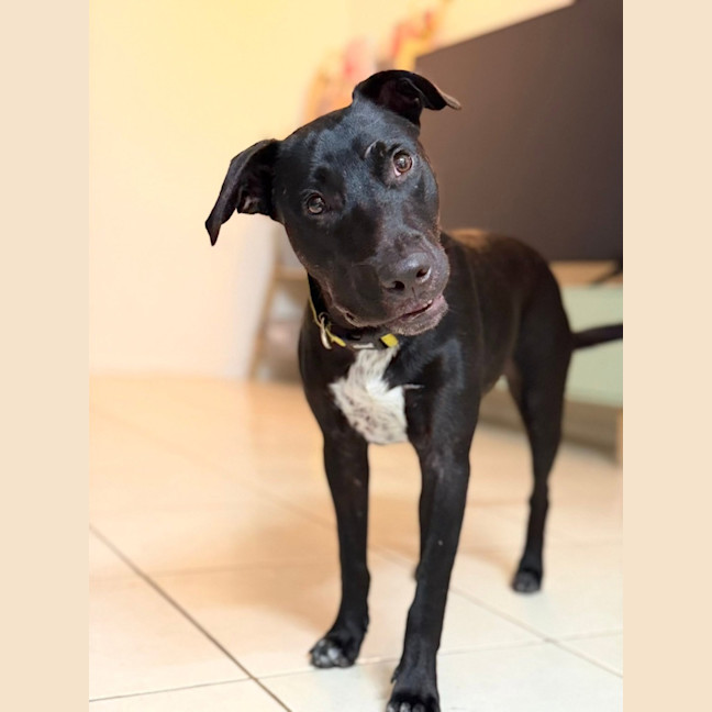 Photo of Benny