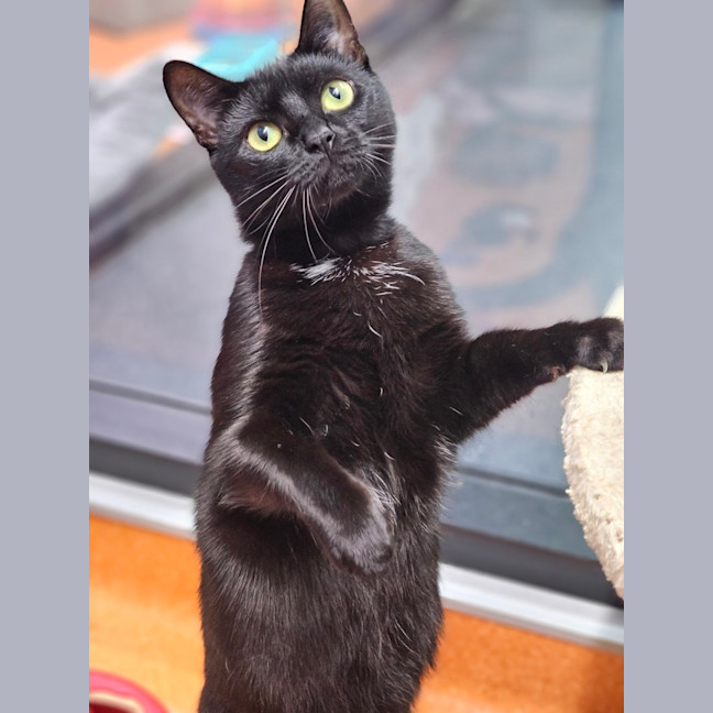 Photo of Betty