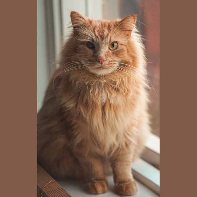 Photo of Finn & Percy