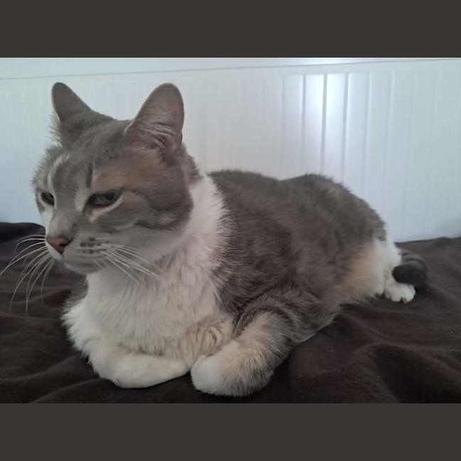 Photo of Marlow