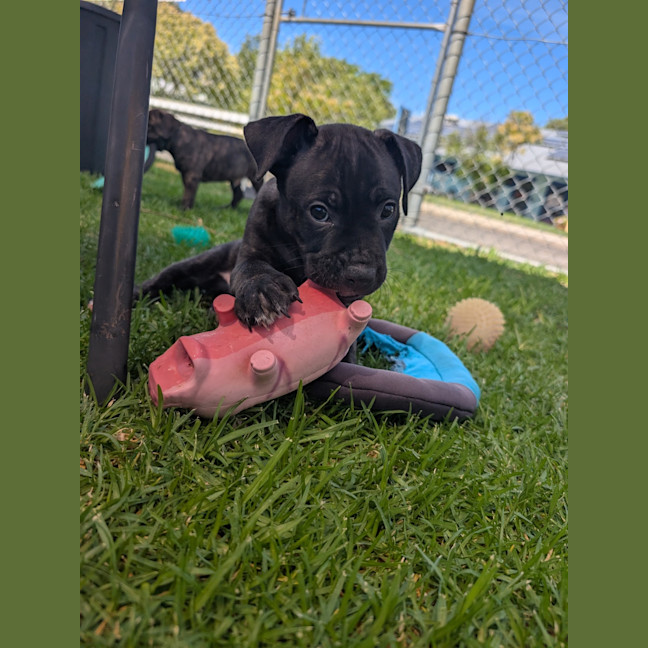 Photo of Zeus
