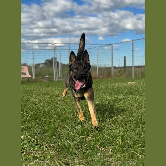Photo of Cash