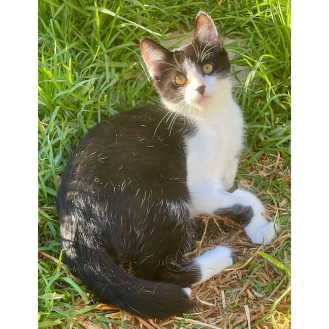 Photo of 12048   Hally