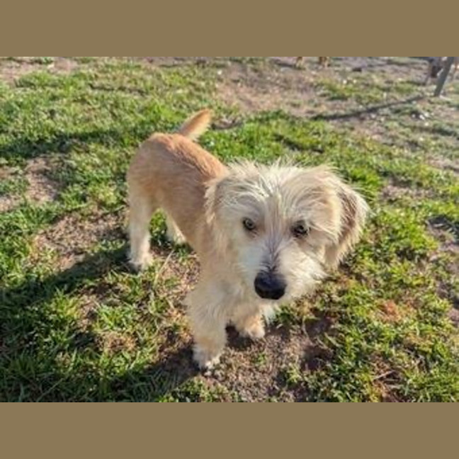 Photo of Georgie O'cleary