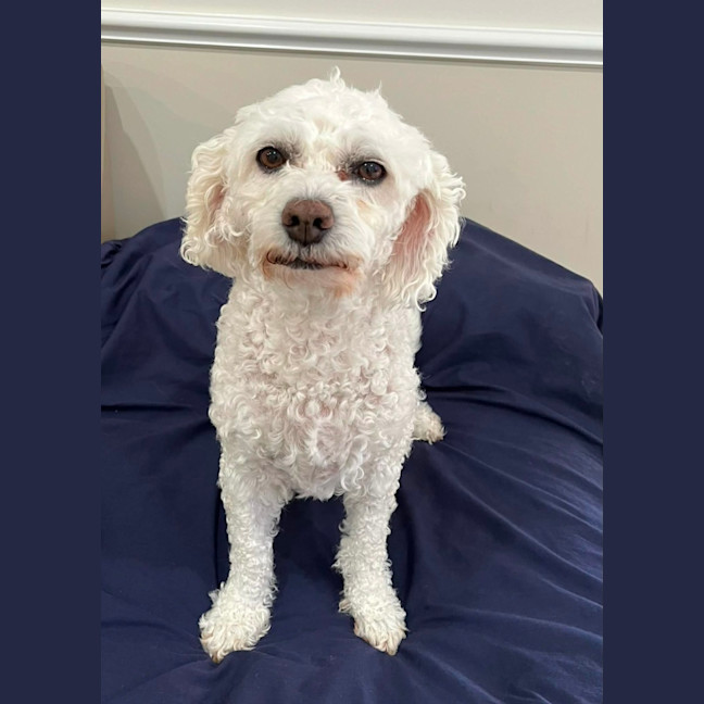 Photo of Mia