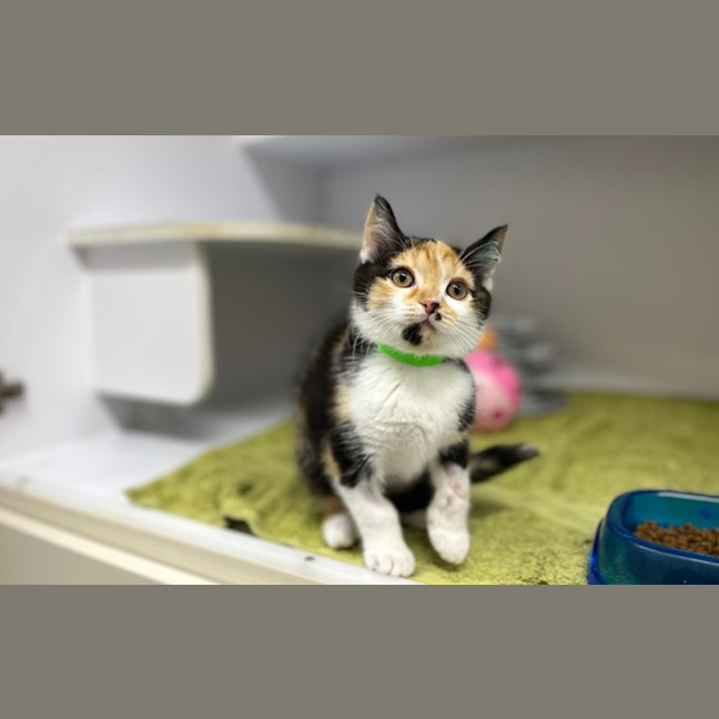 Photo of Winnie
