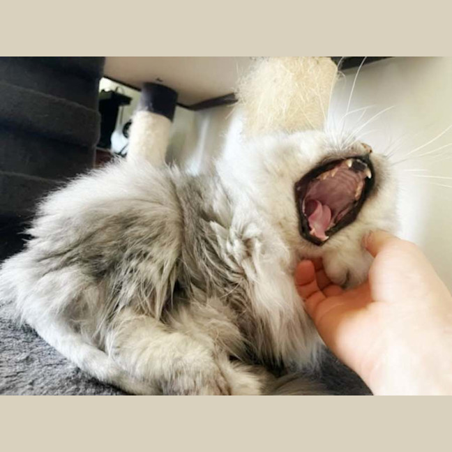 Photo of 🤍Emmett🤍