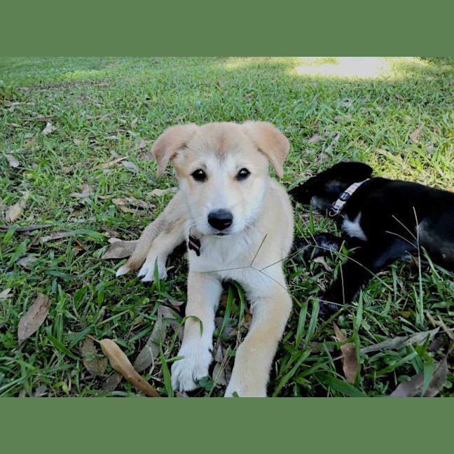 Photo of Jazz