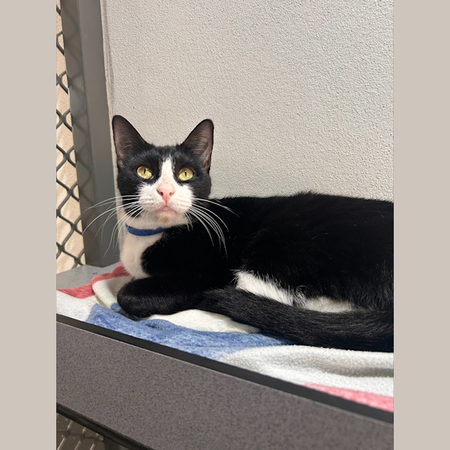 Photo of Pretty Girl