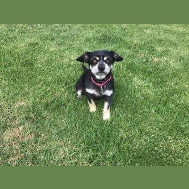 Photo of Jedda O'cleary