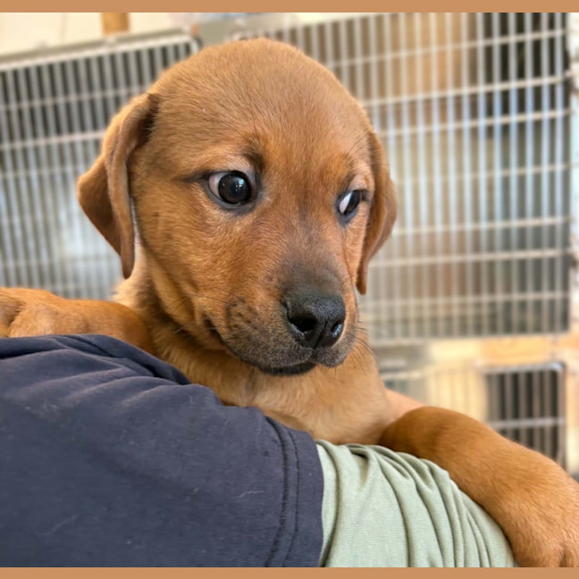 Photo of Ernie