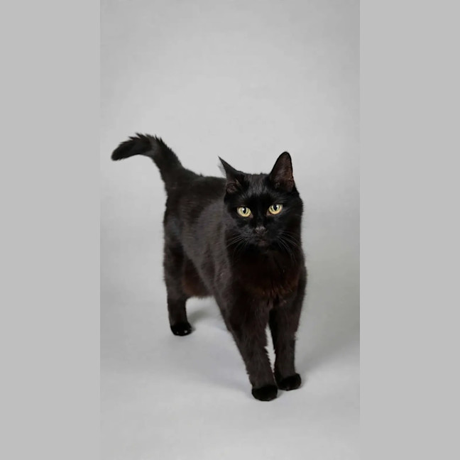 Photo of Mabel 