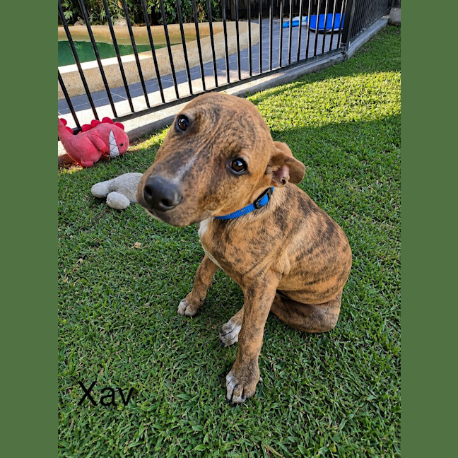 Photo of Xav