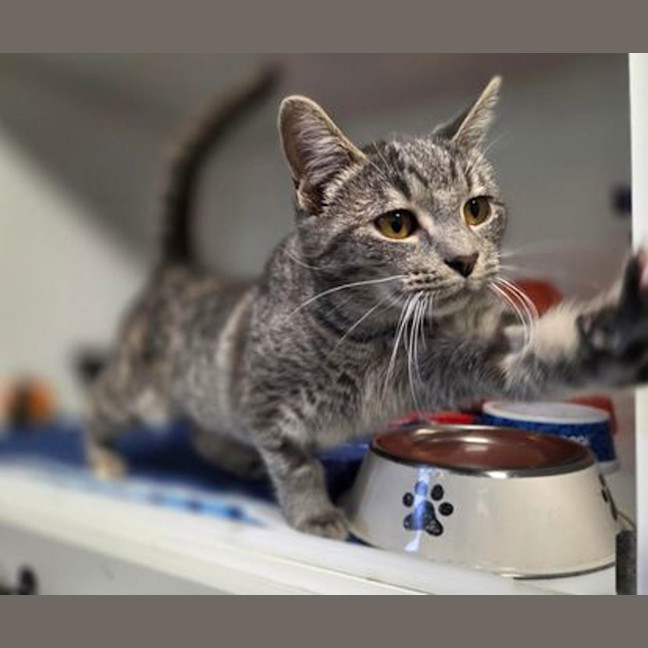 Photo of Calypso 