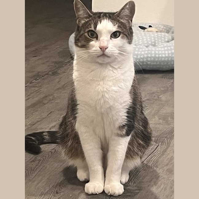Photo of Esmerelda