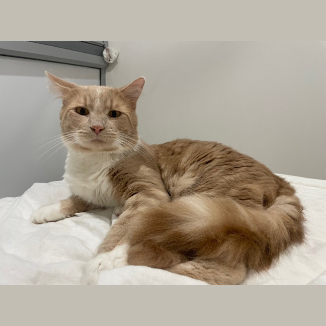 Photo of Ralphie