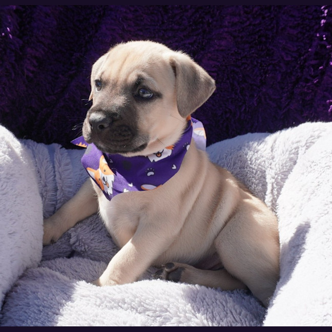 Photo of Vinnie