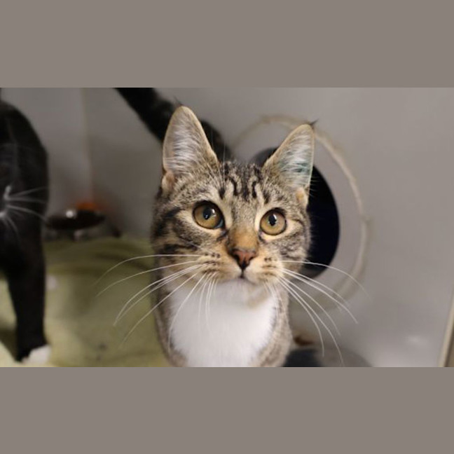 Photo of Tabitha