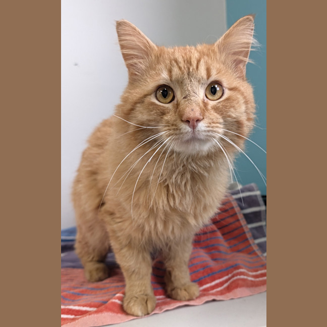 Photo of Mr Rigby