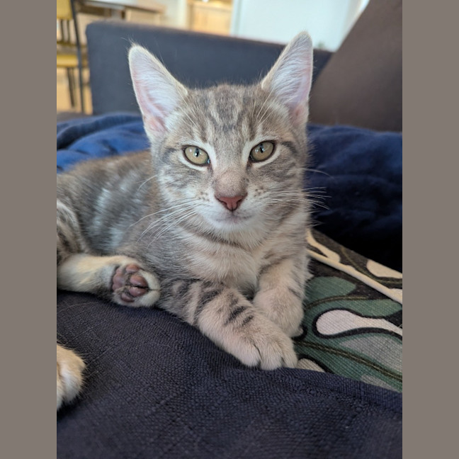 Photo of Hugo Scotty