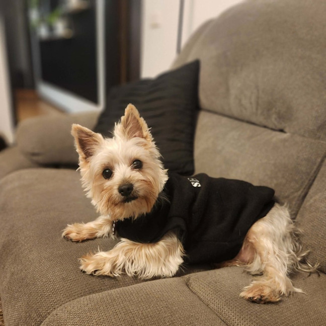 Photo of Coco
