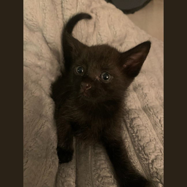 Photo of Jelly Belly