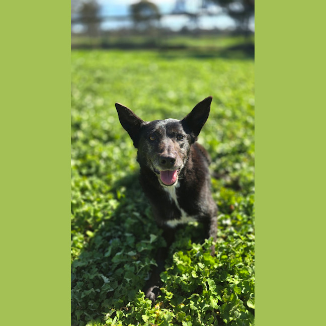 Photo of Matilda