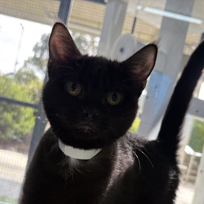 Photo of Nini