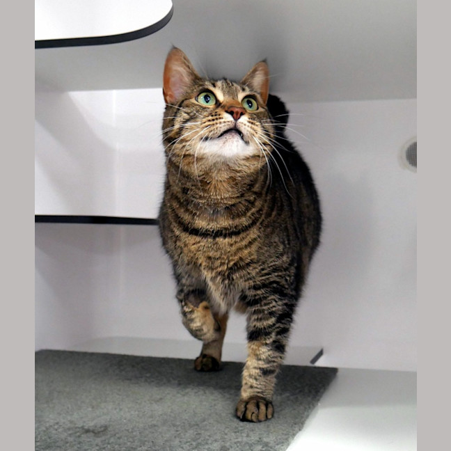 Photo of Leah Sua012872