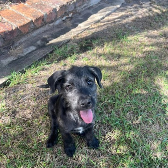 Photo of Stanley