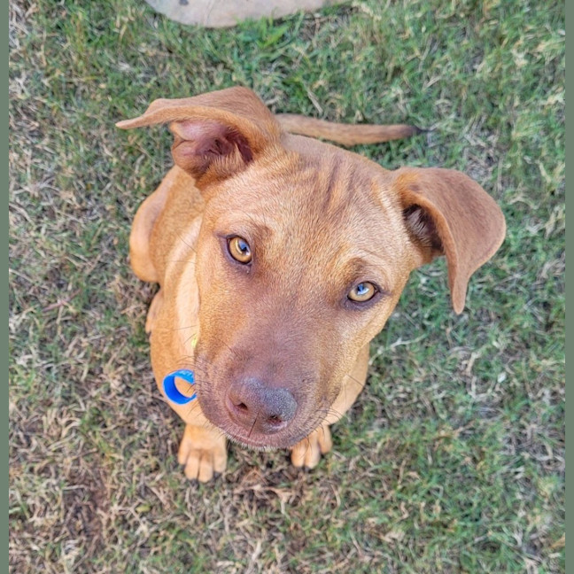 Photo of Salsa