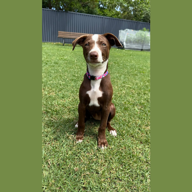 Photo of Marnie