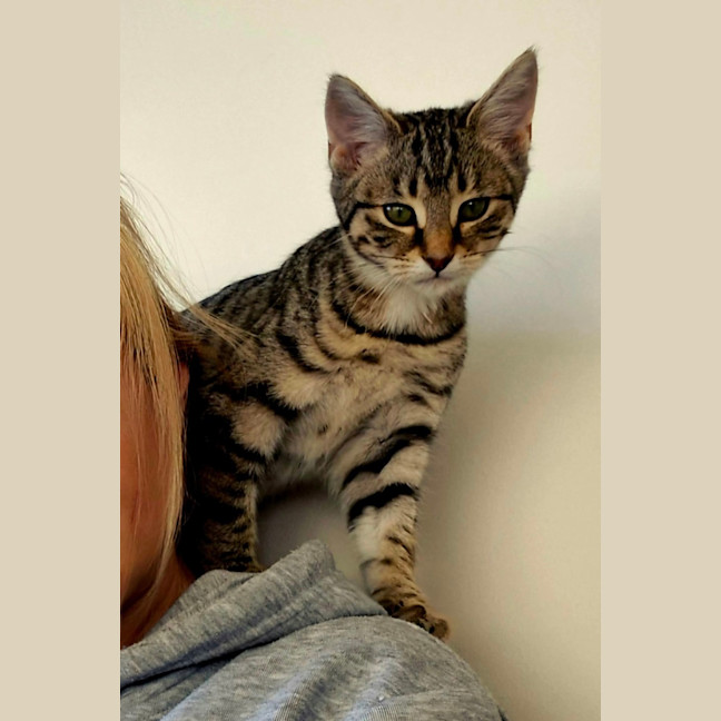 Photo of Xena