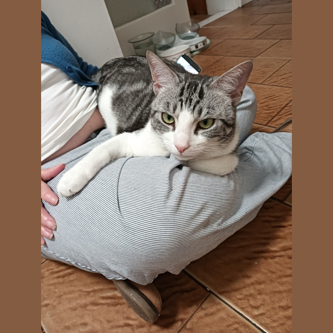 Photo of Houdini