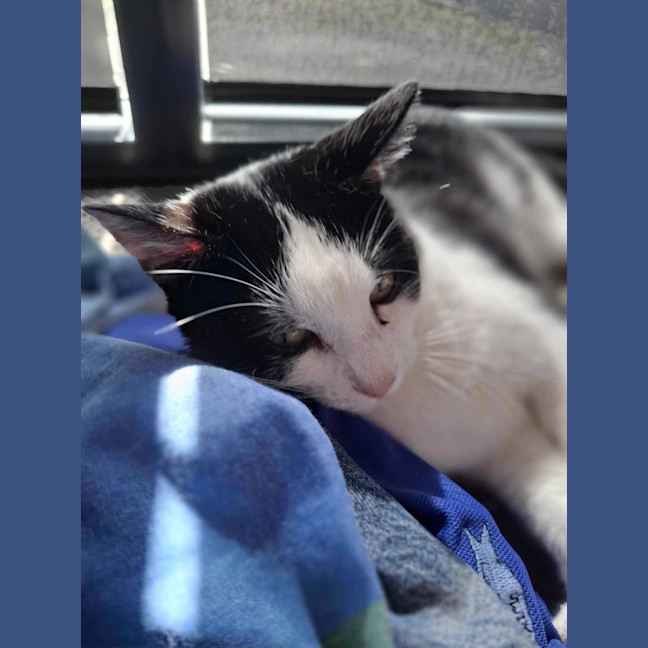 Photo of Maisie & Moo 🐄