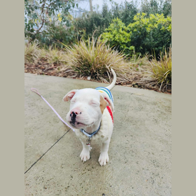 Photo of 🍦 Froyo 6378 🍦 