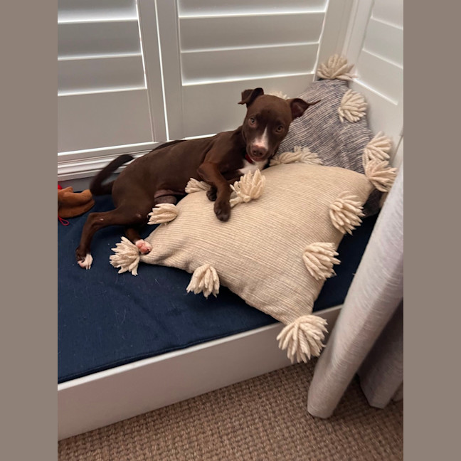 Photo of Peggy