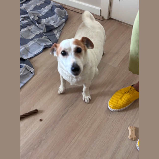 Photo of Choppa And Tiara