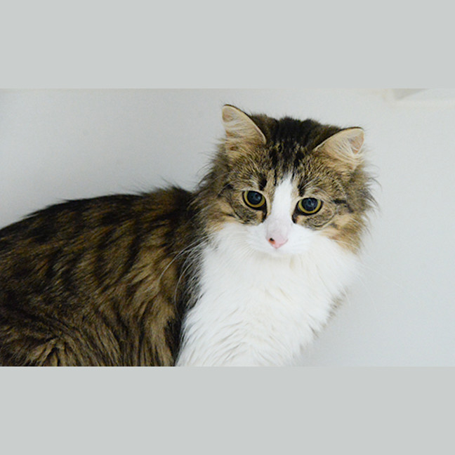 Photo of Millicent 