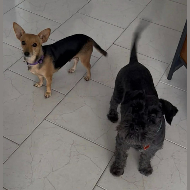 Photo of Tilda (Winnie)