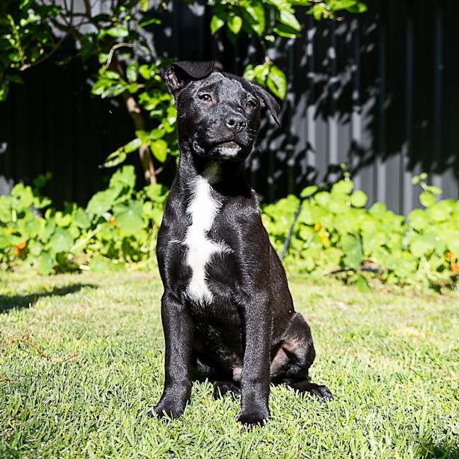 Photo of Lumen